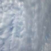 ヒメ日記 2026/04/18 06:54 投稿 田崎みほ(たさきみほ) 五十路マダムエクスプレス厚木店(カサブランカグループ)