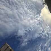 ヒメ日記 2026/09/09 06:50 投稿 田崎みほ(たさきみほ) 五十路マダムエクスプレス厚木店(カサブランカグループ)