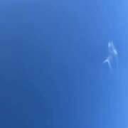 ヒメ日記 2026/09/25 10:12 投稿 田崎みほ(たさきみほ) 五十路マダムエクスプレス厚木店(カサブランカグループ)