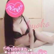 ヒメ日記 2024/12/23 14:05 投稿 きょうこ 石亭