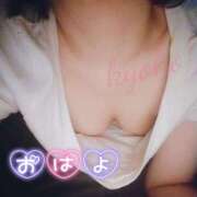 ヒメ日記 2024/12/30 10:28 投稿 きょうこ 石亭