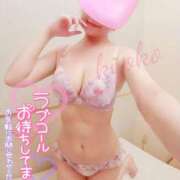 ヒメ日記 2025/03/16 14:12 投稿 きょうこ 石亭