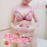 ヒメ日記 2025/03/20 12:14 投稿 きょうこ 石亭