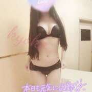 ヒメ日記 2025/03/29 13:37 投稿 きょうこ 石亭