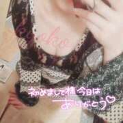 ヒメ日記 2025/03/29 23:45 投稿 きょうこ 石亭