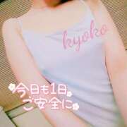 ヒメ日記 2025/04/19 11:09 投稿 きょうこ 石亭