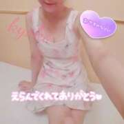 ヒメ日記 2025/04/25 23:30 投稿 きょうこ 石亭