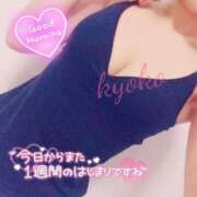 ヒメ日記 2025/04/28 10:13 投稿 きょうこ 石亭