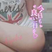 ヒメ日記 2025/05/28 08:49 投稿 きょうこ 石亭