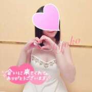 ヒメ日記 2026/06/14 08:30 投稿 きょうこ 石亭