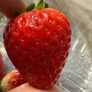 ヒメ日記 2026/01/24 19:32 投稿 めい 渋谷くいーんず