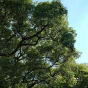 かおり 8月も… 松戸角海老岩瀬店