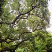 かおり 9月も… 松戸角海老岩瀬店