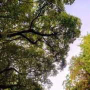 ヒメ日記 2025/11/01 18:03 投稿 かおり 松戸角海老岩瀬店