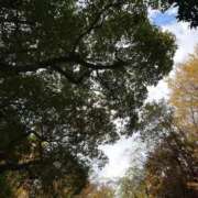 ヒメ日記 2025/11/30 12:23 投稿 かおり 松戸角海老岩瀬店