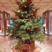 ヒメ日記 2025/12/03 09:00 投稿 麻生 昼顔妻 五反田店