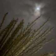 ヒメ日記 2025/10/07 08:25 投稿 杏南 松戸角海老岩瀬店