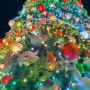 ヒメ日記 2025/11/18 03:23 投稿 杏南 松戸角海老岩瀬店