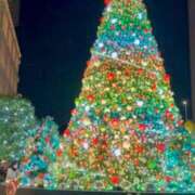 ヒメ日記 2025/11/20 22:33 投稿 杏南 松戸角海老岩瀬店