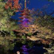 ヒメ日記 2025/12/05 13:13 投稿 杏南 松戸角海老岩瀬店