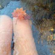 ヒメ日記 2025/12/08 17:43 投稿 杏南 松戸角海老岩瀬店