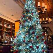 ヒメ日記 2025/12/20 04:23 投稿 杏南 松戸角海老岩瀬店