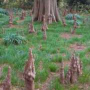 ヒメ日記 2026/03/02 03:43 投稿 杏南 松戸角海老岩瀬店