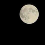 ヒメ日記 2026/03/05 00:53 投稿 杏南 松戸角海老岩瀬店