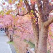 ヒメ日記 2026/03/09 11:53 投稿 杏南 松戸角海老岩瀬店