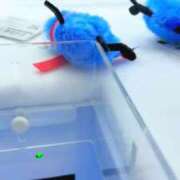 ヒメ日記 2026/03/09 17:23 投稿 杏南 松戸角海老岩瀬店