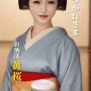 ヒメ日記 2026/03/11 01:23 投稿 杏南 松戸角海老岩瀬店