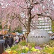 ヒメ日記 2026/03/23 14:13 投稿 杏南 松戸角海老岩瀬店
