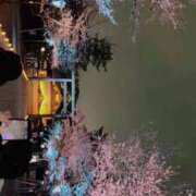 ヒメ日記 2026/03/31 02:43 投稿 杏南 松戸角海老岩瀬店