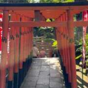 ヒメ日記 2026/04/20 02:03 投稿 杏南 松戸角海老岩瀬店