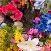 ヒメ日記 2026/04/21 14:33 投稿 杏南 松戸角海老岩瀬店