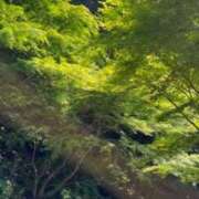 ヒメ日記 2026/05/18 03:31 投稿 杏南 松戸角海老岩瀬店