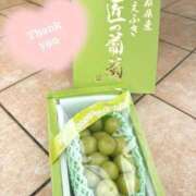 ヒメ日記 2026/07/31 08:23 投稿 杏南 松戸角海老岩瀬店