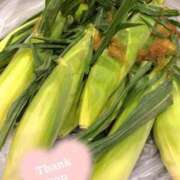 ヒメ日記 2026/08/01 12:23 投稿 杏南 松戸角海老岩瀬店