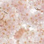 ヒメ日記 2025/10/26 17:33 投稿 あき 松戸角海老岩瀬店