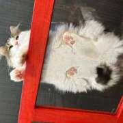 ヒメ日記 2025/11/18 08:53 投稿 由宇 松戸角海老岩瀬店