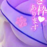 ホタル のこり2日🐾 【福岡デリヘル】20代・30代★博多で評判のお店はココです！