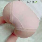 ヒメ日記 2026/04/11 16:05 投稿 ふたば 丸妻 横浜本店