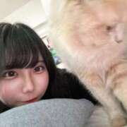 ヒメ日記 2026/06/06 07:21 投稿 猫みみ ウルトラセレクション