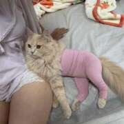 猫みみ 最近の…🤭 ウルトラセレクション