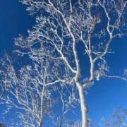 ヒメ日記 2025/03/29 23:29 投稿 いぶき BAD COMPANY 札幌