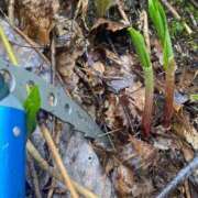 ヒメ日記 2025/04/23 16:28 投稿 いぶき BAD COMPANY 札幌