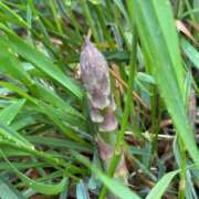 ヒメ日記 2025/05/29 00:29 投稿 いぶき BAD COMPANY 札幌