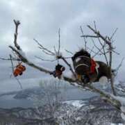 いぶき テスト送信 BAD COMPANY 札幌