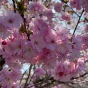ヒメ日記 2026/04/24 14:33 投稿 いぶき BAD COMPANY 札幌