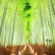 ヒメ日記 2024/12/29 20:24 投稿 桑田心春(くわたこはる) 五十路マダムエクスプレス厚木店(カサブランカグループ)